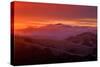 Warm Ethereal Sunrise Fog, East Bay Hills, Oakland, San Francisco-Vincent James-Stretched Canvas