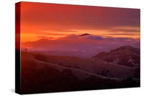 Warm Ethereal Sunrise Fog, East Bay Hills, Oakland, San Francisco-Vincent James-Stretched Canvas