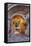 Warm Evening Light on Duomo Di San Rufino Assisi-Terry Eggers-Framed Stretched Canvas