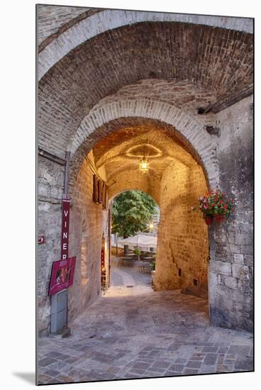 Warm Evening Light on Duomo Di San Rufino Assisi-Terry Eggers-Mounted Photographic Print