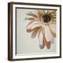 Warm Flower-Carolina Alotus-Framed Giclee Print