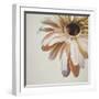 Warm Flower-Carolina Alotus-Framed Giclee Print