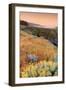 Warm Glow at Sea Ranch-Vincent James-Framed Photographic Print