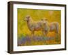 Warm Glow Sheep Pair-Marion Rose-Framed Giclee Print