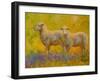 Warm Glow Sheep Pair-Marion Rose-Framed Giclee Print