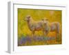 Warm Glow Sheep Pair-Marion Rose-Framed Giclee Print