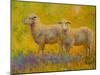 Warm Glow Sheep Pair-Marion Rose-Mounted Giclee Print