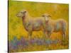 Warm Glow Sheep Pair-Marion Rose-Stretched Canvas