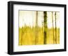 Warm Harvest Sundown-Janet Slater-Framed Photographic Print