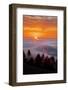 Warm July Sunset and Fog, San Francisco Bay Area, Northern California Sunset-Vincent James-Framed Photographic Print