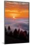 Warm July Sunset and Fog, San Francisco Bay Area, Northern California Sunset-Vincent James-Mounted Photographic Print