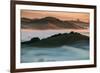 Warm Light and Cool Fog, Morning in Petaluma California-Vincent James-Framed Photographic Print