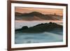 Warm Light and Cool Fog, Morning in Petaluma California-Vincent James-Framed Photographic Print