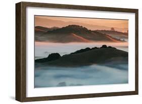 Warm Light and Cool Fog, Morning in Petaluma California-Vincent James-Framed Photographic Print