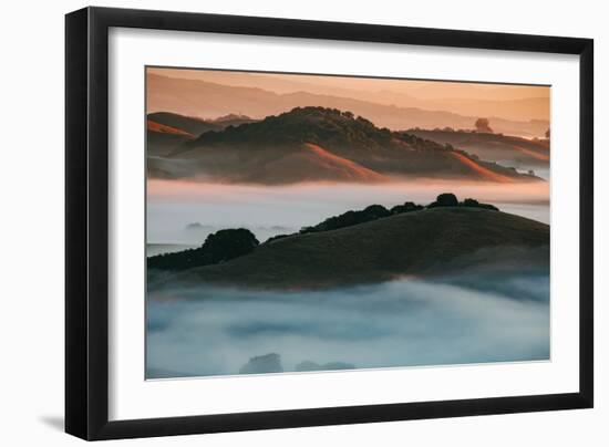 Warm Light and Cool Fog, Morning in Petaluma California-Vincent James-Framed Photographic Print