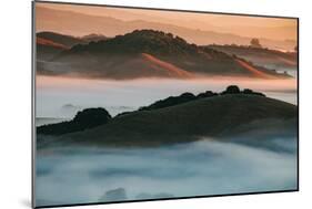 Warm Light and Cool Fog, Morning in Petaluma California-Vincent James-Mounted Photographic Print