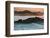 Warm Light and Cool Fog, Morning in Petaluma California-Vincent James-Framed Photographic Print