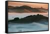 Warm Light and Cool Fog, Morning in Petaluma California-Vincent James-Framed Stretched Canvas