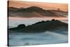Warm Light and Cool Fog, Morning in Petaluma California-Vincent James-Stretched Canvas