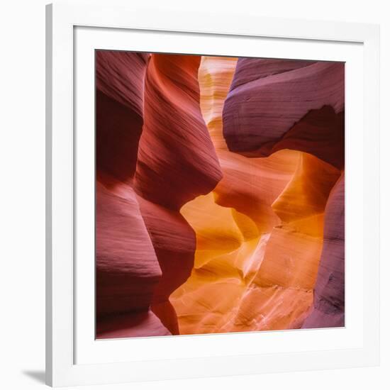 Warm Light Glowing on the Sandstone Walls of Lower Antelope Canyon Near Page, Arizona-John Lambing-Framed Photographic Print