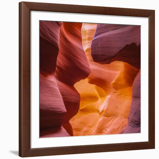 Warm Light Glowing on the Sandstone Walls of Lower Antelope Canyon Near Page, Arizona-John Lambing-Framed Photographic Print