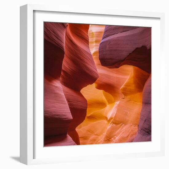 Warm Light Glowing on the Sandstone Walls of Lower Antelope Canyon Near Page, Arizona-John Lambing-Framed Photographic Print