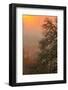 Warm Morning Light and Oak Trees Mount Diablo, Walnut Creek California-Vincent James-Framed Photographic Print