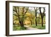 Warm Morning Light-D^ Burt-Framed Giclee Print