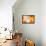 Warm Pastel Geometry-Ana Rut Bre-Framed Stretched Canvas displayed on a wall