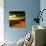 Warm Planet-Mark James Gaylard-Photographic Print displayed on a wall