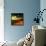 Warm Planet-Mark James Gaylard-Framed Stretched Canvas displayed on a wall