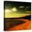Warm Planet-Mark James Gaylard-Stretched Canvas