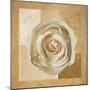 Warm Rose I-Lucy Meadows-Mounted Giclee Print