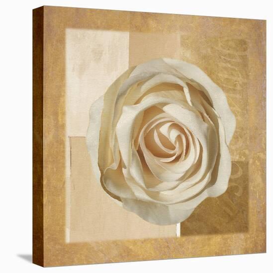 Warm Rose I-Lucy Meadows-Stretched Canvas