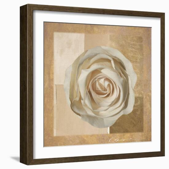 Warm Rose II-Malcom Sanders-Framed Art Print