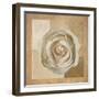 Warm Rose II-Malcom Sanders-Framed Art Print