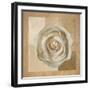 Warm Rose II-Malcom Sanders-Framed Art Print