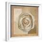 Warm Rose II-Malcom Sanders-Framed Art Print
