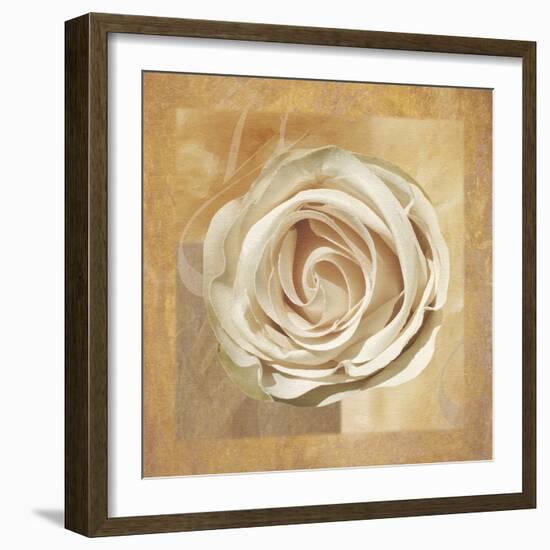 Warm Rose II-Lucy Meadows-Framed Giclee Print