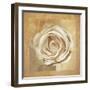 Warm Rose II-Lucy Meadows-Framed Giclee Print