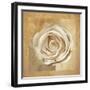 Warm Rose II-Lucy Meadows-Framed Giclee Print