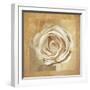 Warm Rose II-Lucy Meadows-Framed Giclee Print