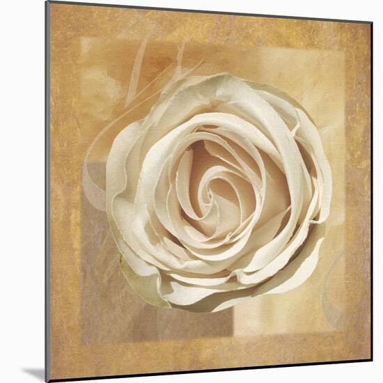 Warm Rose II-Lucy Meadows-Mounted Giclee Print