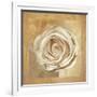 Warm Rose II-Lucy Meadows-Framed Giclee Print