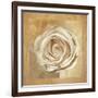 Warm Rose II-Lucy Meadows-Framed Giclee Print