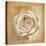 Warm Rose II-Lucy Meadows-Stretched Canvas