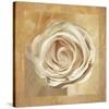 Warm Rose II-Lucy Meadows-Stretched Canvas