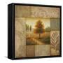 Warm Season I-Michael Marcon-Framed Stretched Canvas