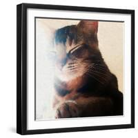 Warm Spot, 2018-Helen White-Framed Premium Giclee Print