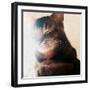 Warm Spot, 2018-Helen White-Framed Premium Giclee Print